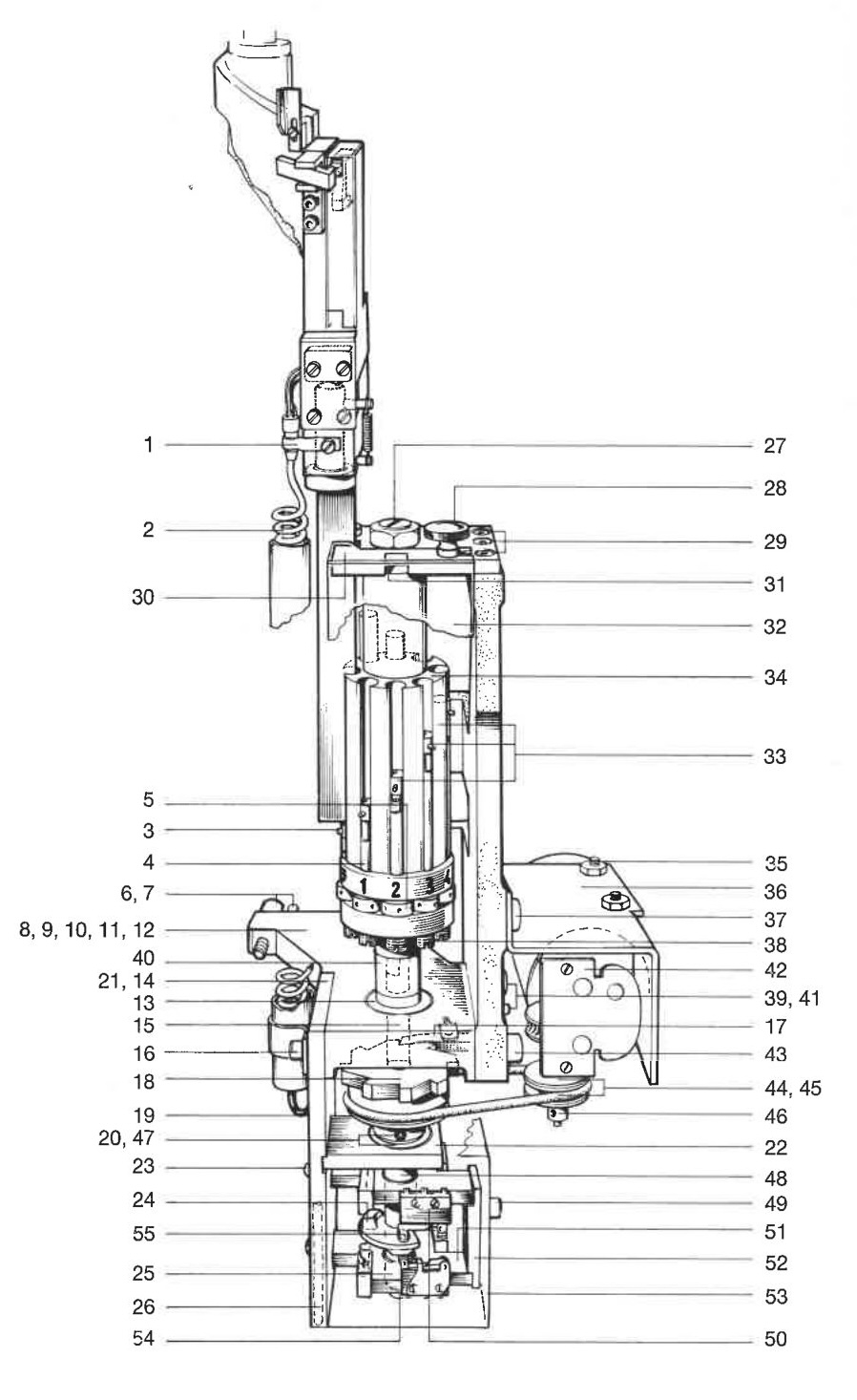 Automatische Formateinstellvorrichtung